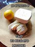Сыр из козьего молока