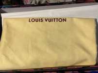 Louis Vuitton кроссовки для повседневки