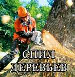 Услуга спил деревьев