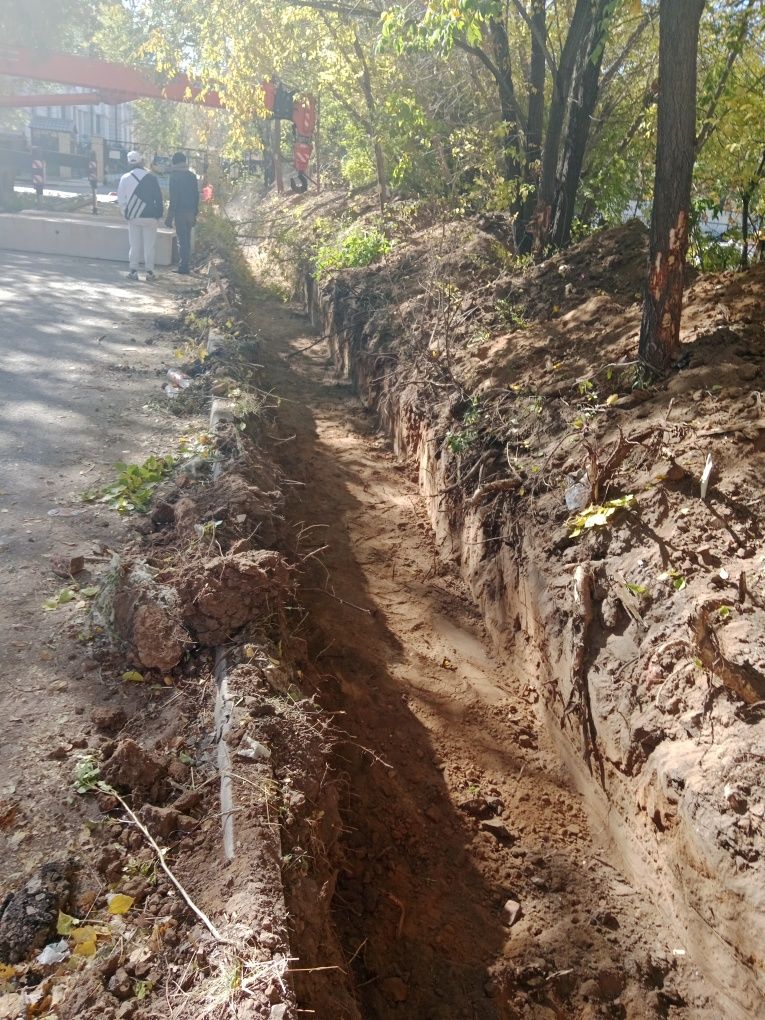 Услуги экскаватор погрузчика 3в1 жсв петушок акция