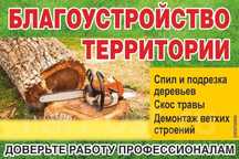 Спил деревьев.Благоустроиство территории уборка.Покос травы