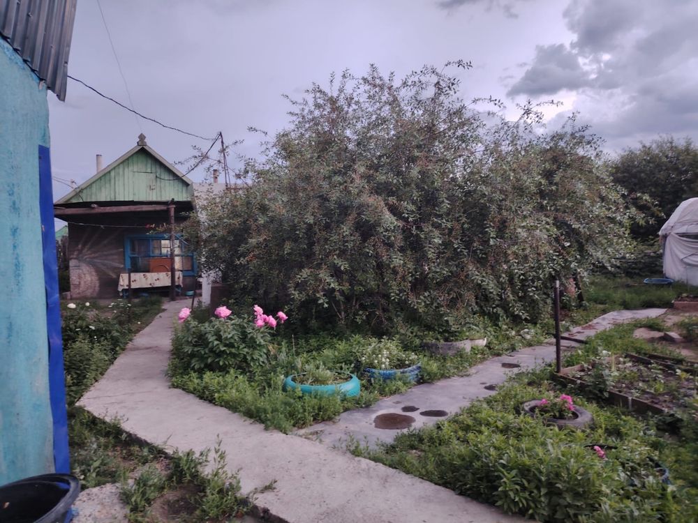 Продам дачу с насаждениями