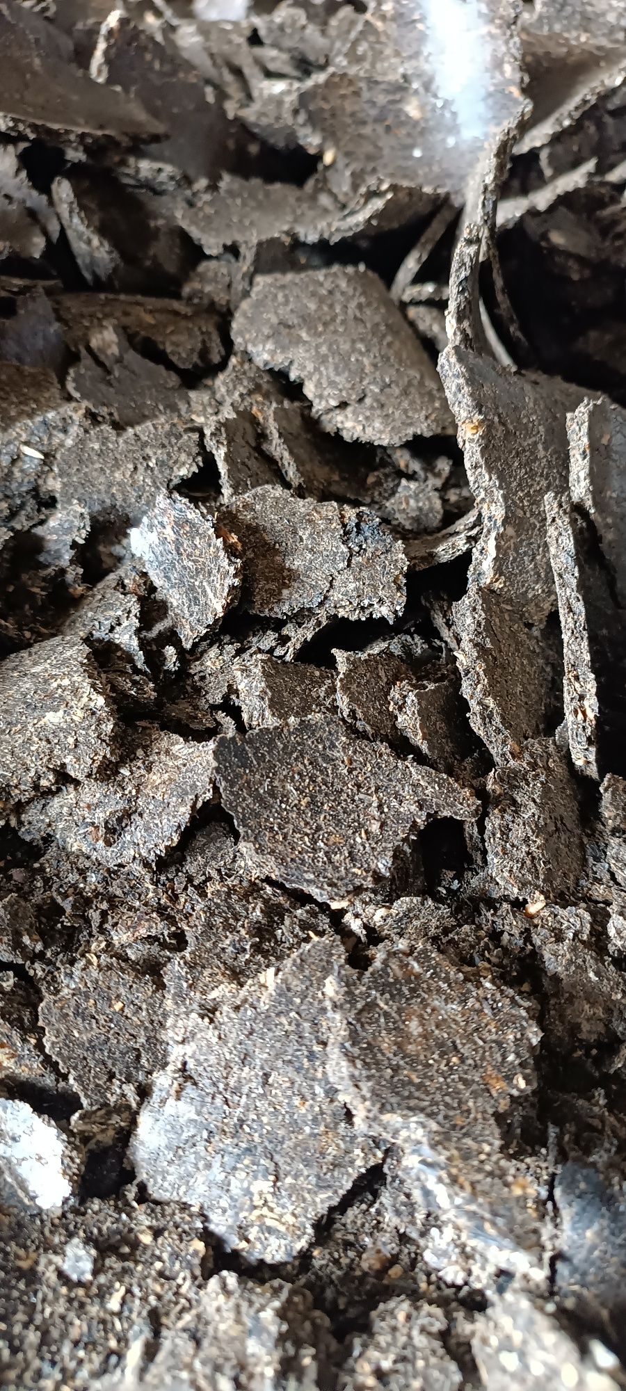 Завод производителя по масляных культур предлагает вам жмых из семечки