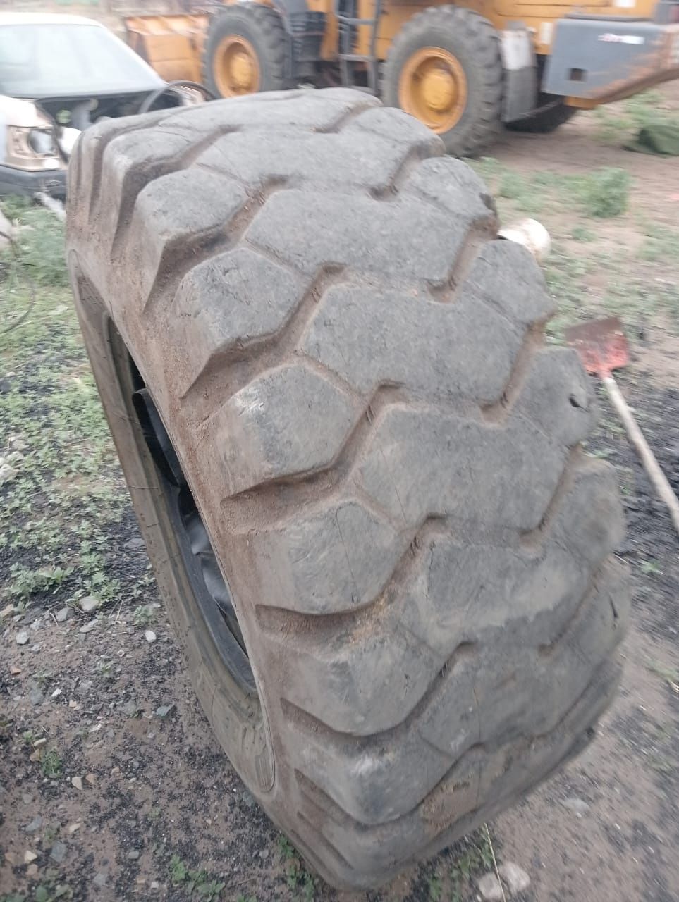 Продам шины на погрузчик фронтальный