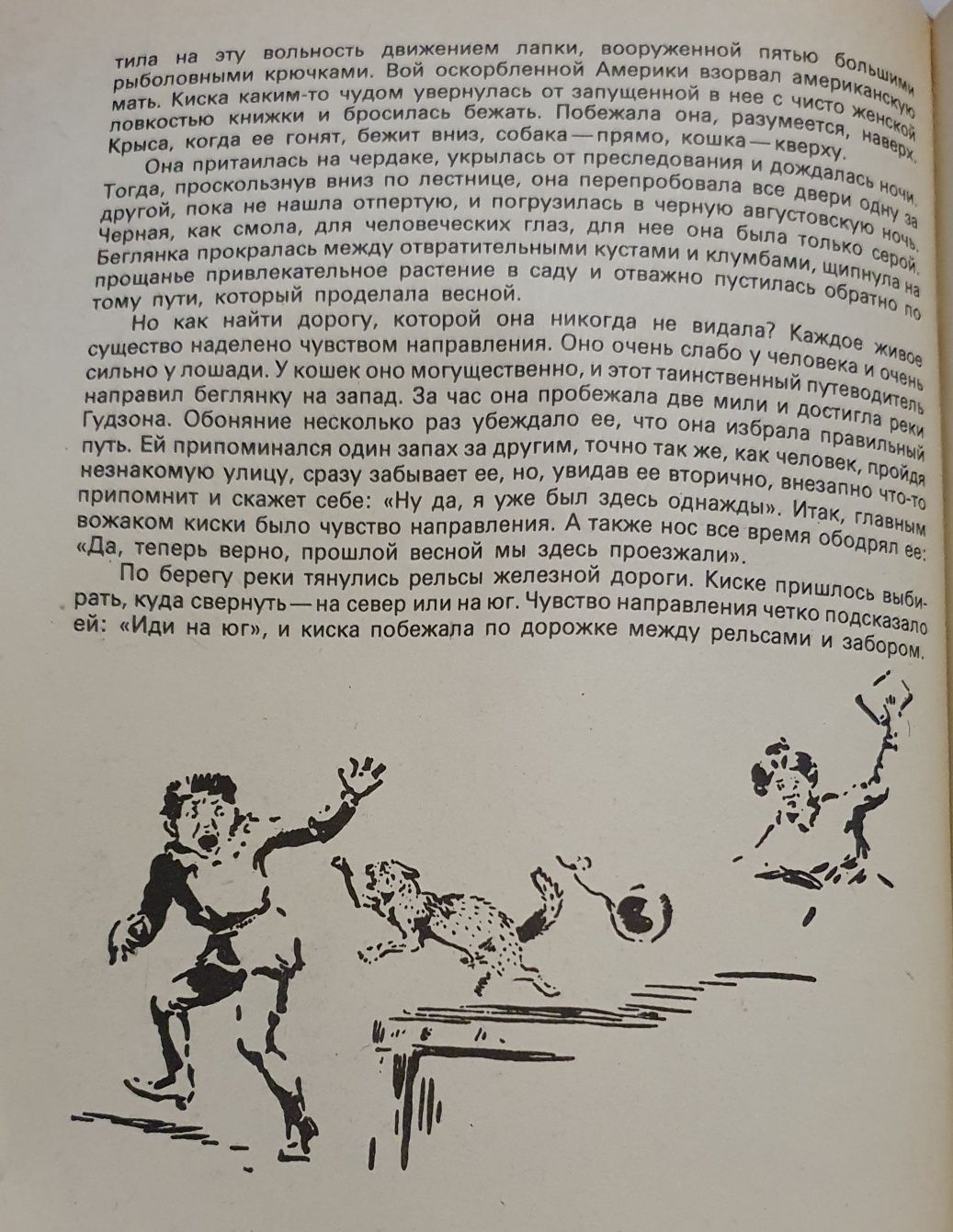 Книга Э Сетон-Томпсон "Рассказы о животных"