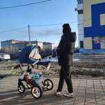 Коляска Adamex 2 в 1