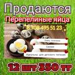 Перепелиные яйца