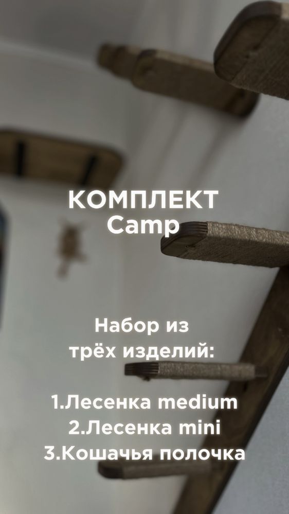 Настенный комплекс для кошек с установкой