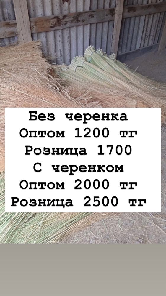 Веник метла из чиа чия чий чии
