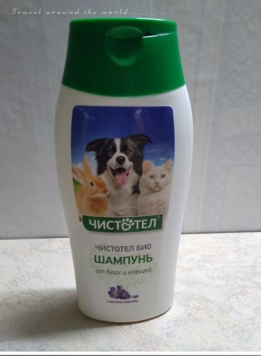 Товары для кошек и собак