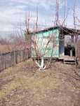 Продам дачу в Ромашке