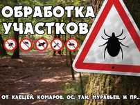 Обработка участка , опрыскивание сада земли территории Казцик