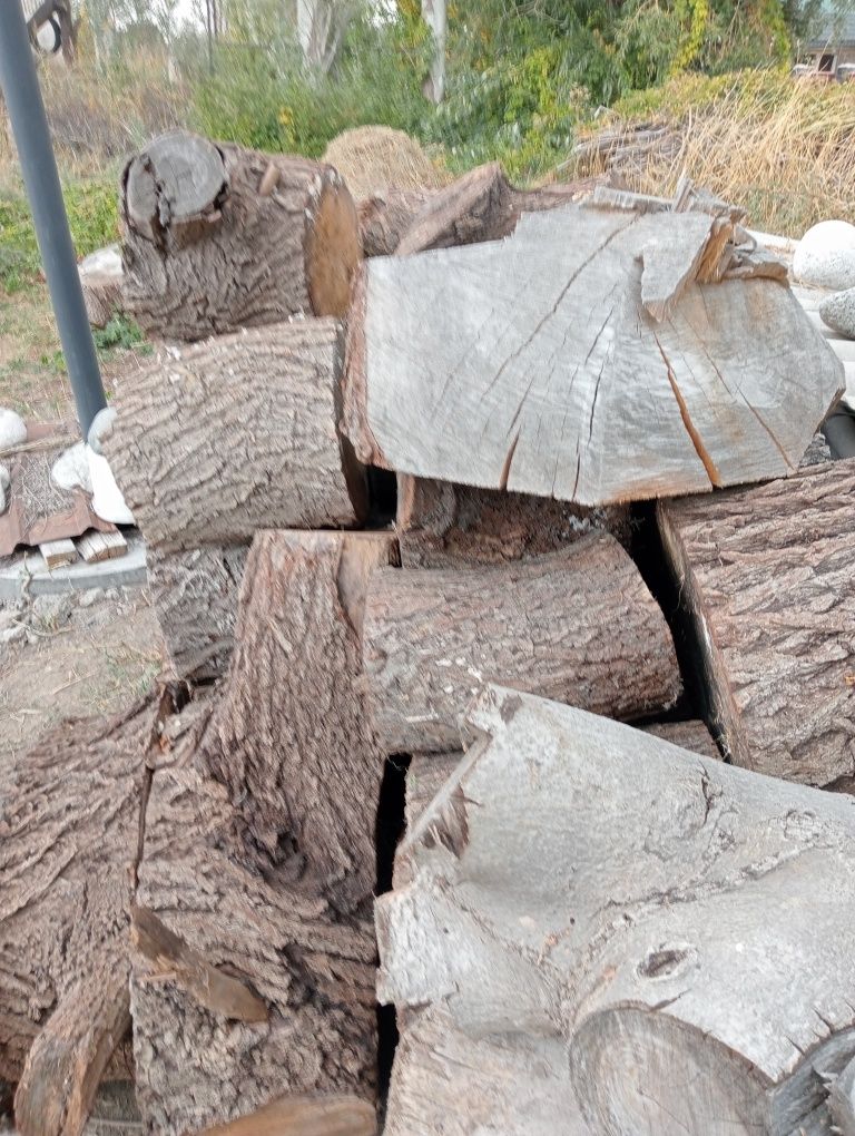 Продам дрова карагаш
