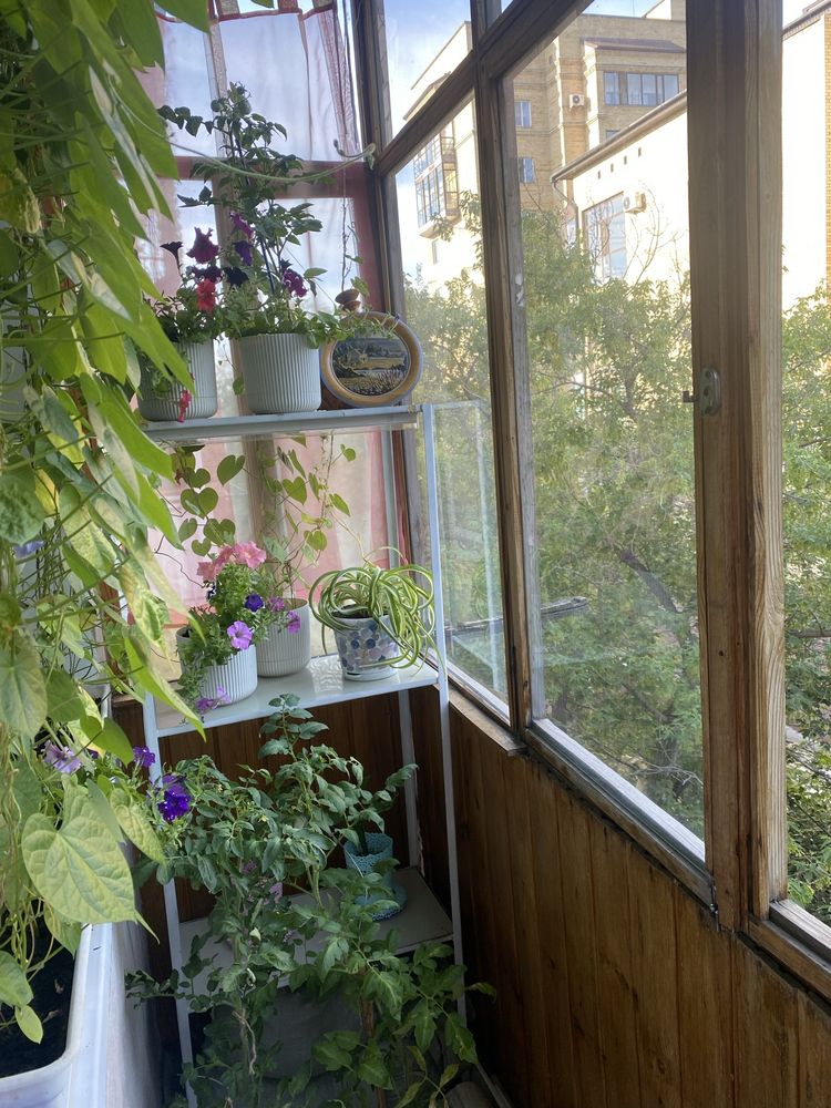 Двухкомнатная квартира  центр