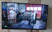 Телевизор Shivaki 109 см, 43" (новый с гарантией)