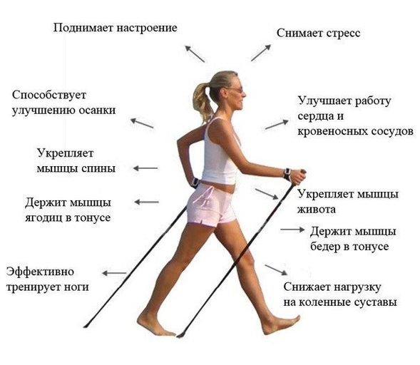 Палки для скандинавской ходьбы раздвижные пара 5000