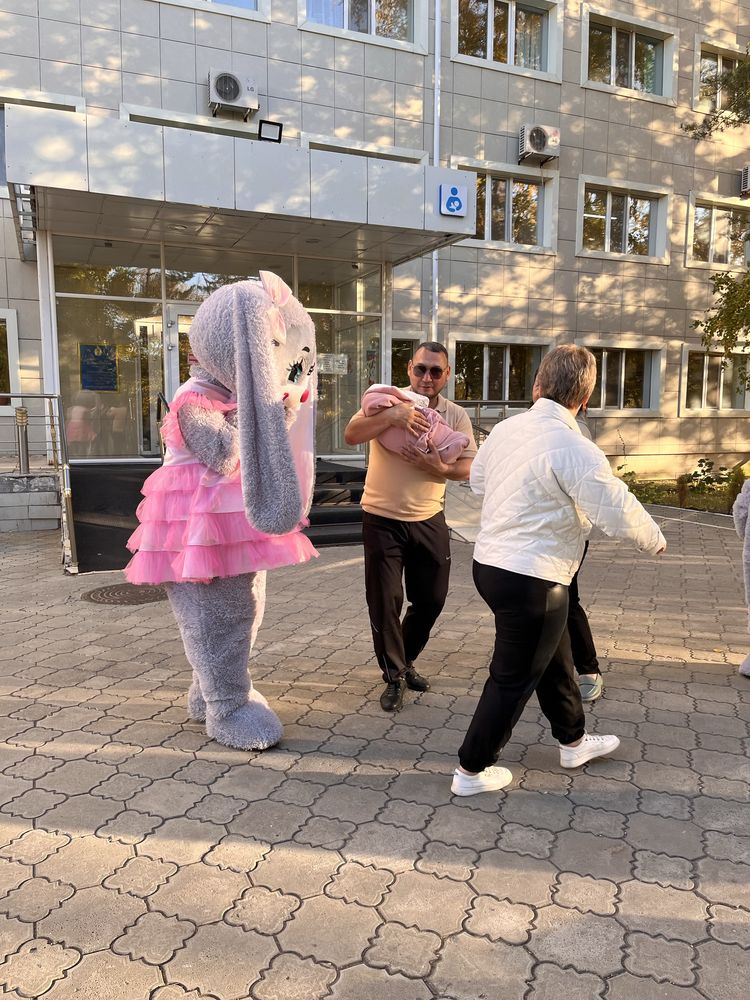Счастье на выезд, Мишки, Панды, Чебурашки, Винни пух