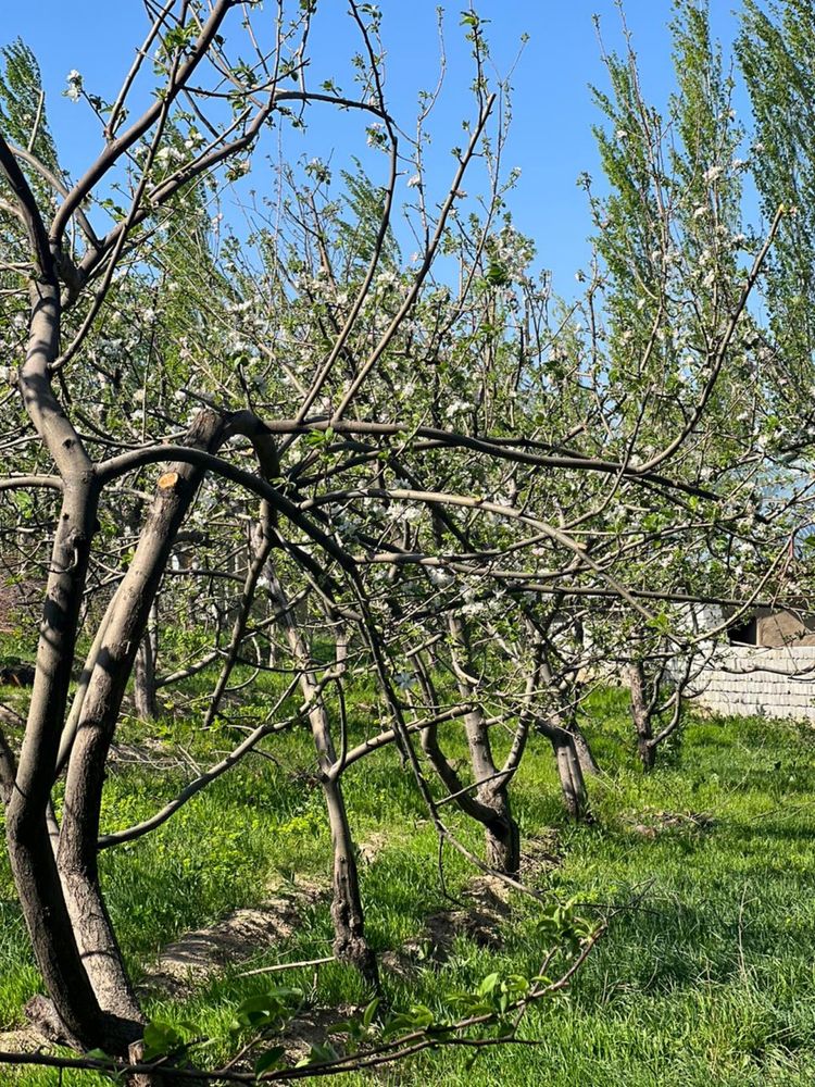 Земелний участок