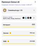 Интернет семейный
