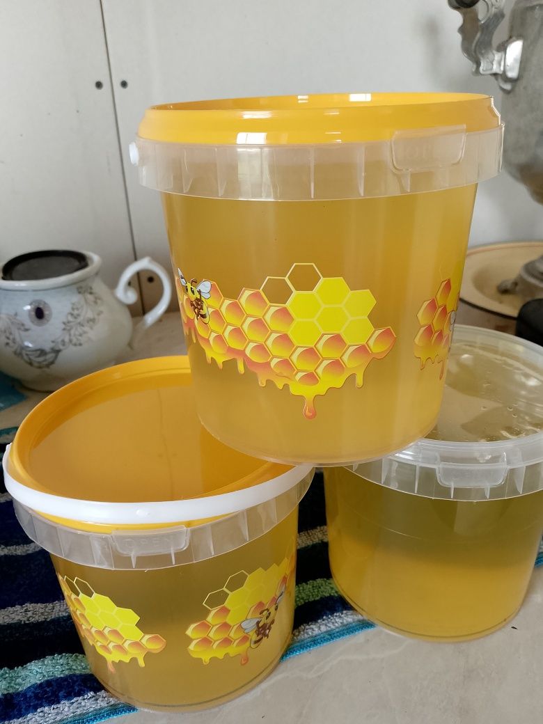 Продам мед донниковый.