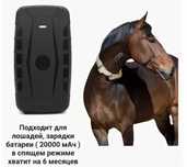 GPS Трекер sim ТК 915 ТК905 для отслеживания: Лошадей,коров, баранов.
