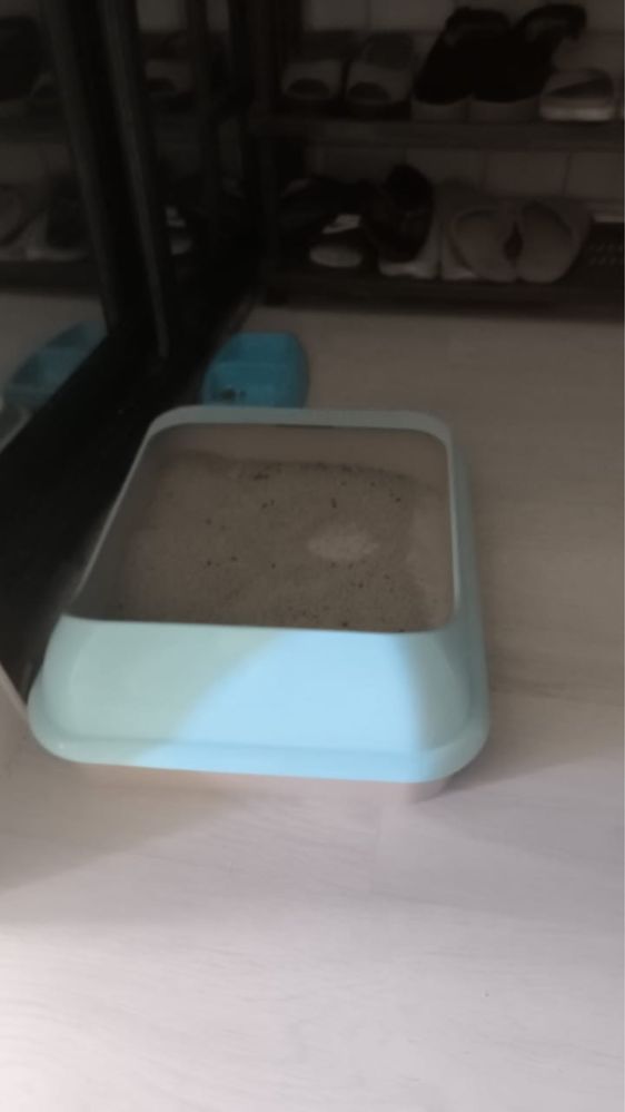 Отдам котенка в добрые и заботливые руки
