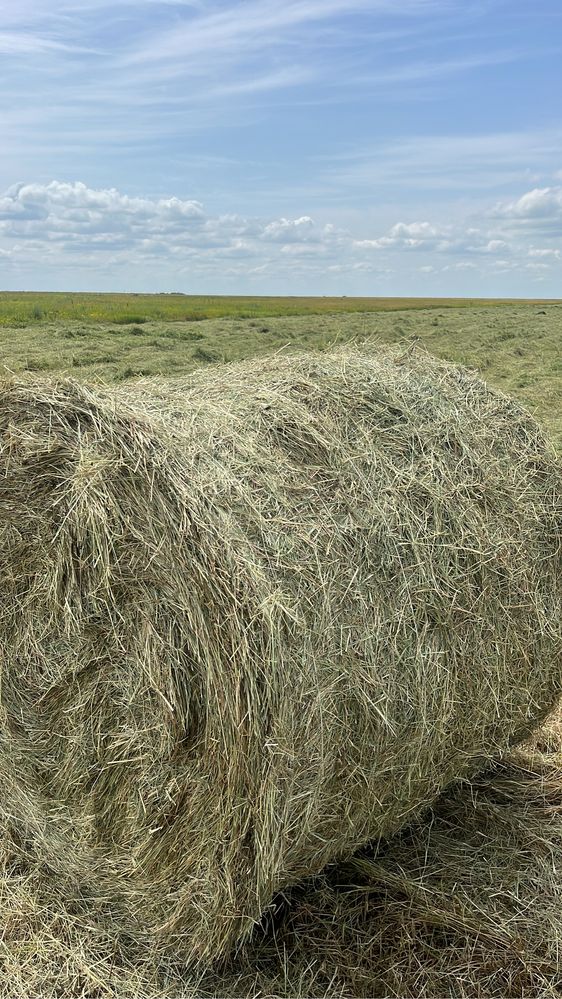 Продам сено чистая разнотравье, цена с Доставкой
