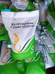Семена кукурузы, Жүгері тұқымы, кукуруза, жүгері, жугери