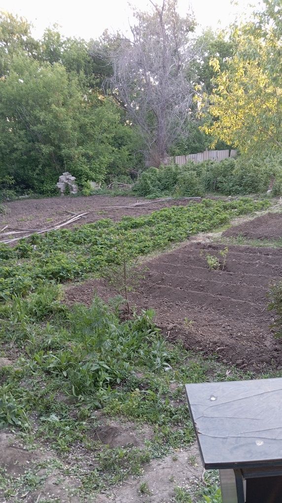 Продам 2 дачных участка
