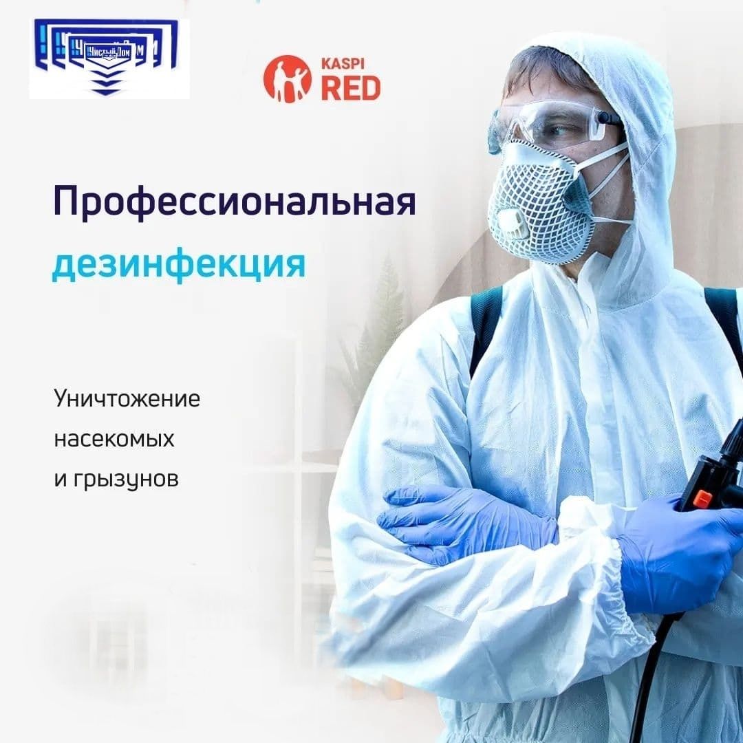 Дезинфекция клопов тараканов/Результат/Дезинфекция/Дерратизация/