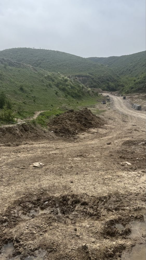 Навоз БЕСПЛАТНО конский, коровье