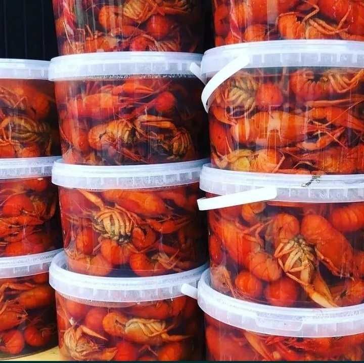 Раки живые озерные