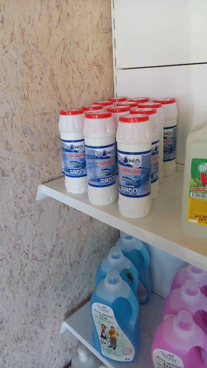 Бытовая химия и автохимия