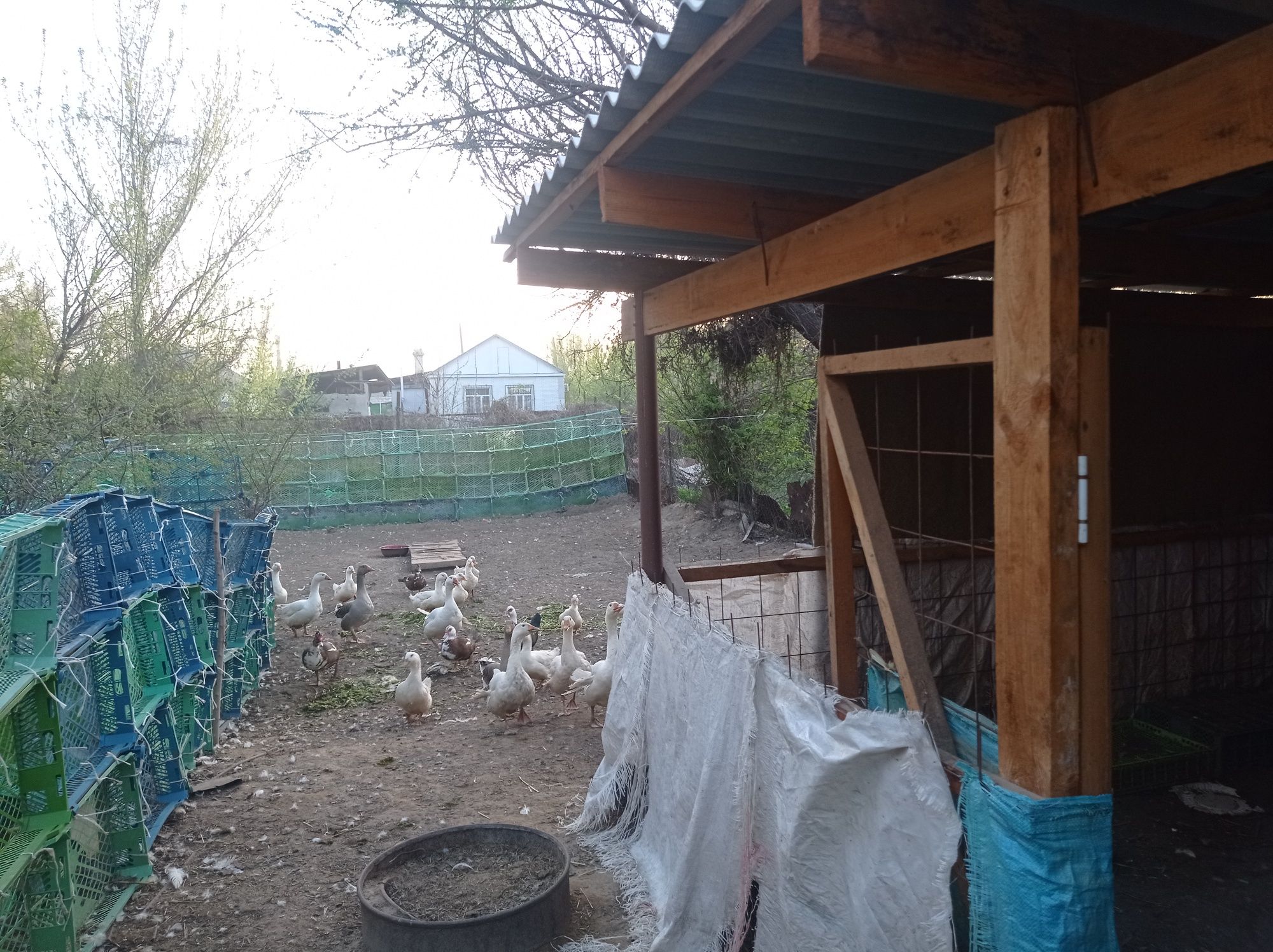 Срочно продаю дом Сагзавод  теплый уютный