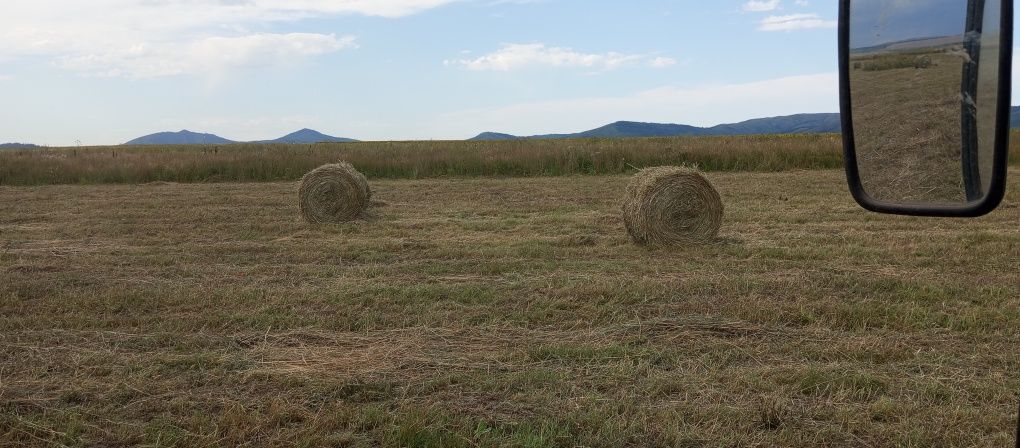 Продам сено в рулонах прошлогоднее