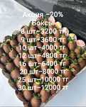 Клубника в шоколаде. Астана