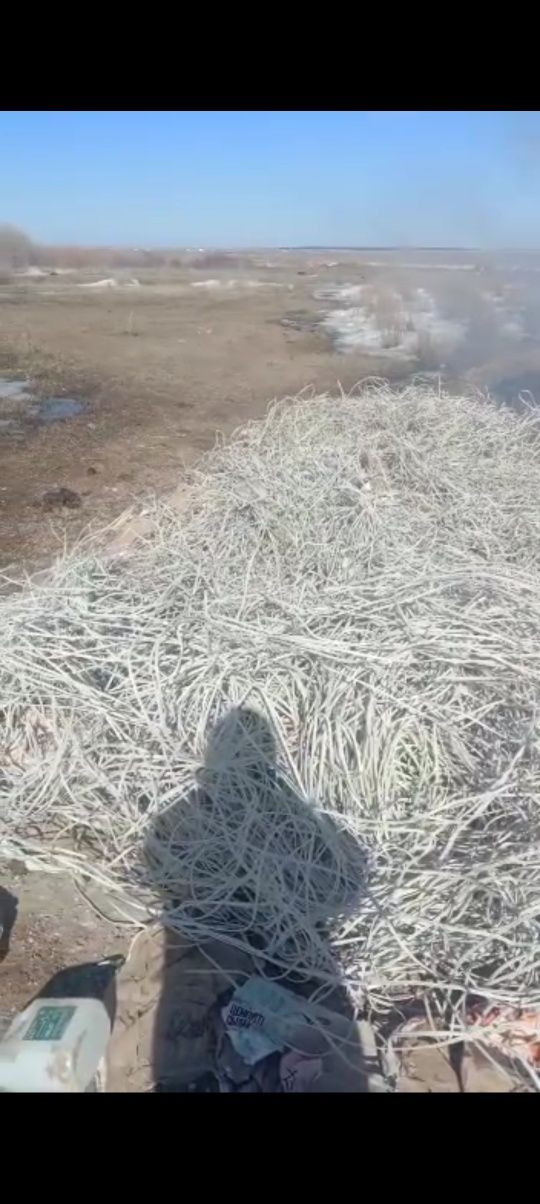Прнимаю аллюминиви кабель с изалятцам всё виде самовивоз  200кг