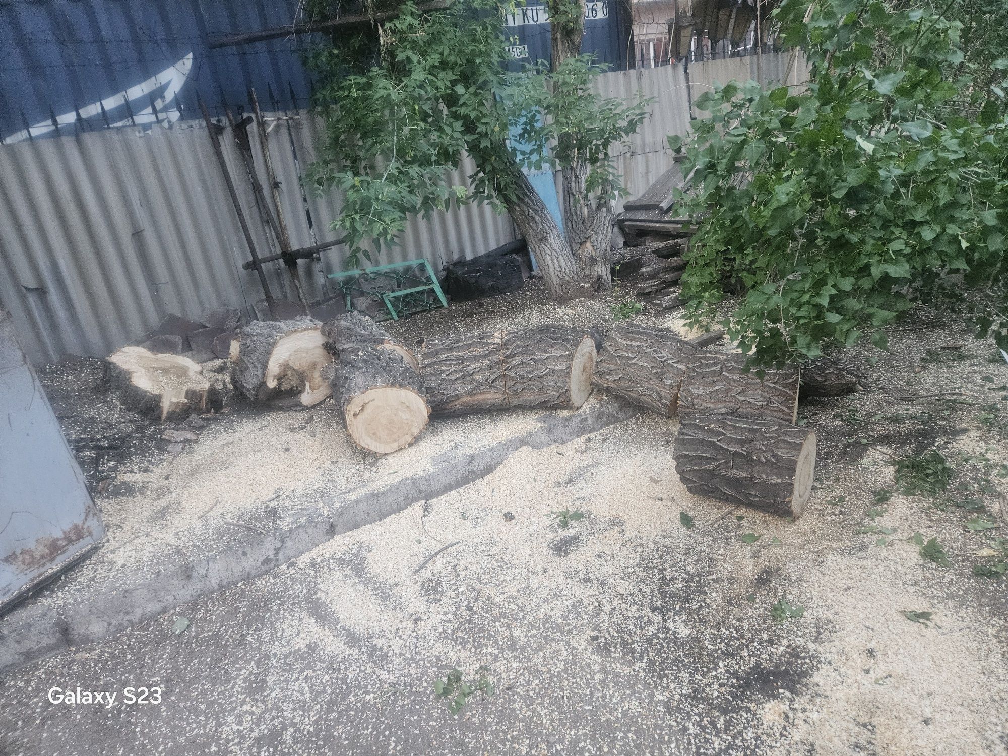 Дрова бесплатно сомавывоз