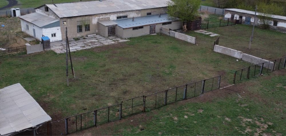 Продам  животноводческую ферму производственную базу