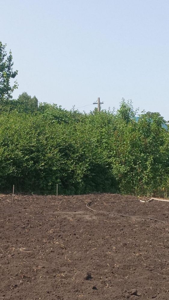 Продам хорошую дачу