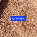 Зерноотходы. Ячмень зерно