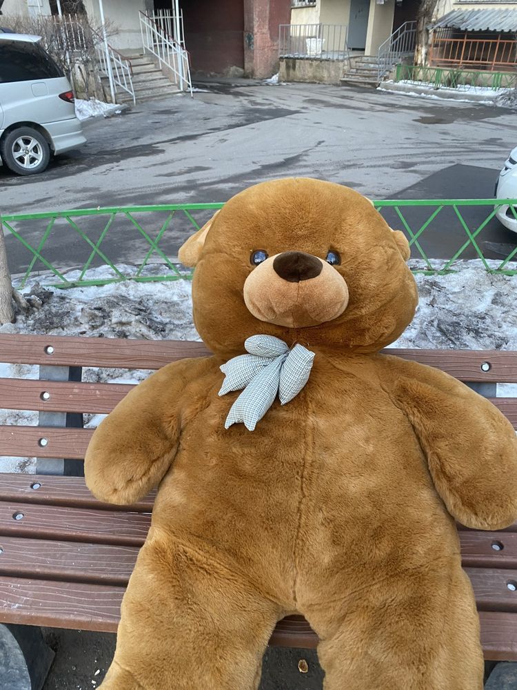 Мишка плюшывый 8000