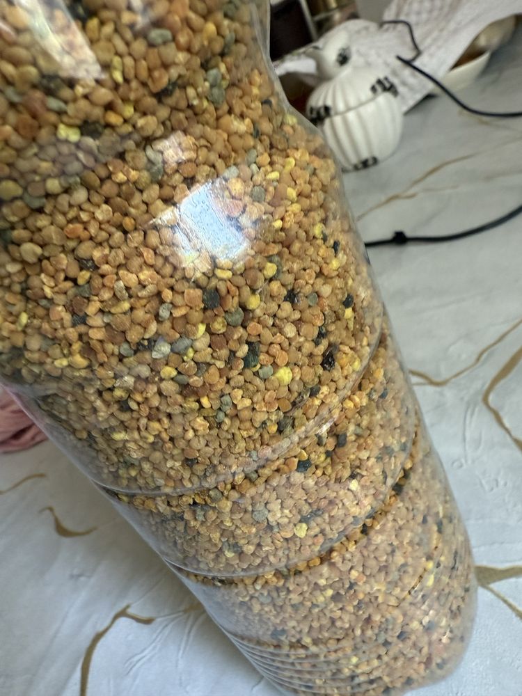Пыльца пчелиная продам