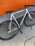 bear bike fixed gear