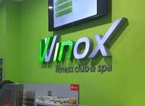 Winox разовый гостевой абонемент.