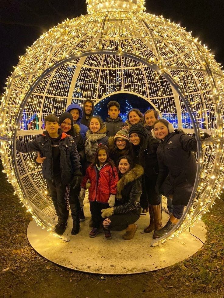 Новогодное оформление, грлянда, олени,  оформление города, елки,