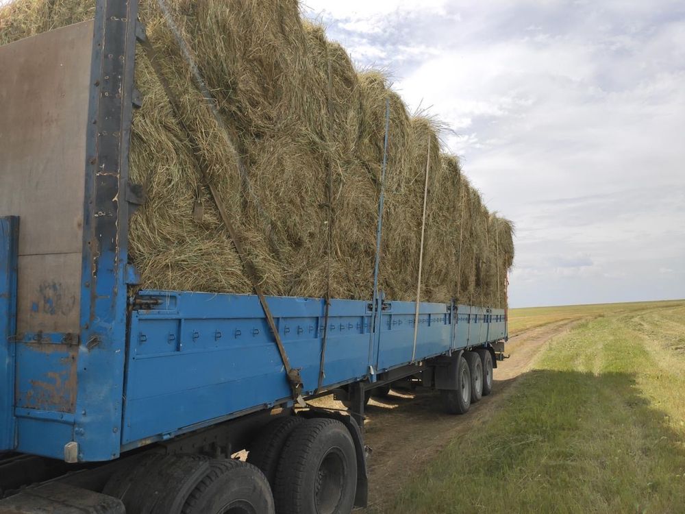 Продам сено в рулонах