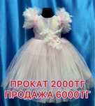 продам или прокат