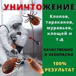 Дезинфекция дезинсекция тараканы клопы муравьев блох клещей насикомых