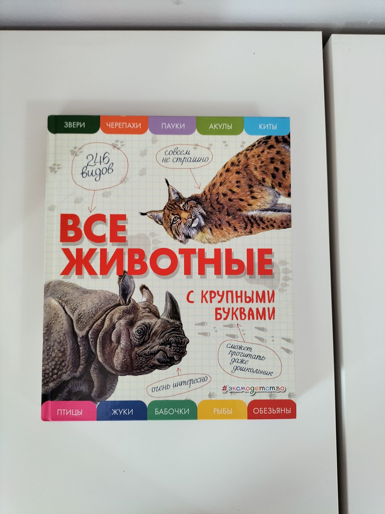 Энциклопедия для детей